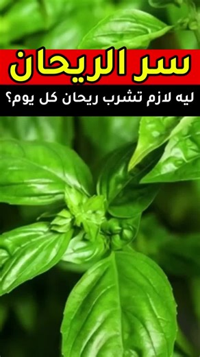 mike smith (@mikesmith1808)’s videos with original sound - mike smith