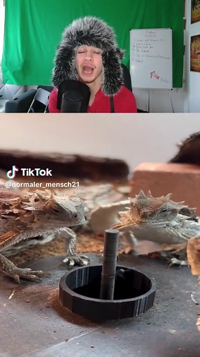 Funny German Memes Compilation You Must See