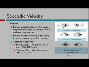 Saccadic Velocity