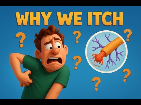 Why Do We Itch? The Surprising Science Behind Scratching