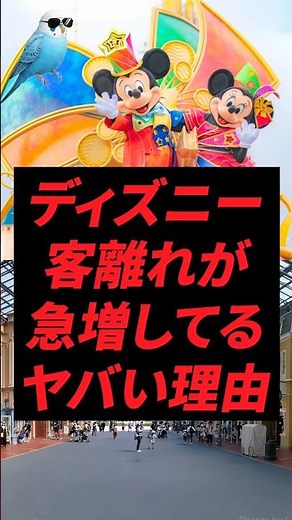 Disneyland: The shocking reason why customer attrition is soaring