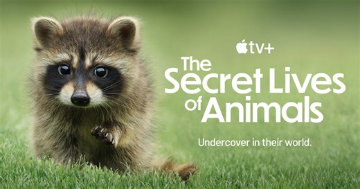 Apple TV  unveils trailer for stunning docuseries “The Secret Lives of Animals”