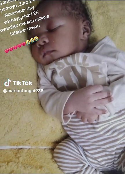 Understanding Biscoitocut Traditions in Zimbabwe