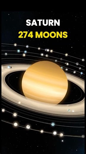 Every Planet and its moons.