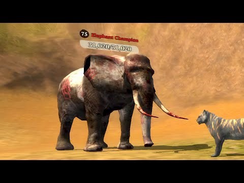 The Tiger - Elephant Champion is a Giant in Front of my Tiger 🏆