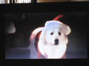 Opening to Toy Story 3 2010 DVD