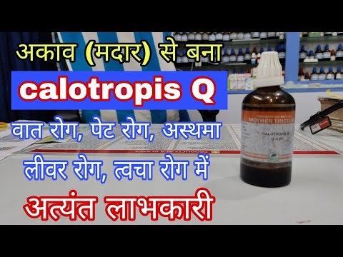 calotropis Q uses in hindi, aak ke fayde, calotropis q best Homeopathic medicine for rheumatism