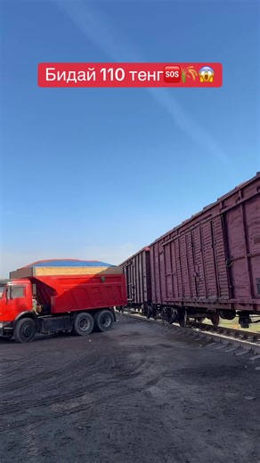 Бидайдың бағасы: 110 теңге!