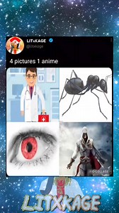 4 pictures 1 anime #animeedit #animeedits #animefans #animememe #animecosplay #animelife #animefanart #animekawaii #animefreak #animelovers #animeartist #animestyle #animeamv #animeislife #animeboys #animemes #animecute #animesketch #loveanime #animeforlife | Litxkage