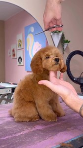 Do you want one? | Logan Rago