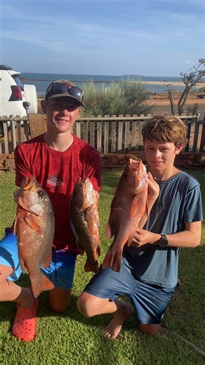 Good little mish🥰#banjo #swanriver #gatekeeping #fyp #aura