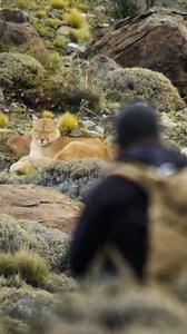 12K views · 279 reactions | There are places on this planet where you...