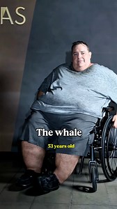 461K views · 3.6K reactions | Brendan Fraser’s Legendary Journey — From ’90s Action Hero to Oscar-Winning Icon ✨ #BrendanFraser #HollywoodLegend #LifeJourney #CinemaMagic #TheWhale | Star Evolution | Facebook