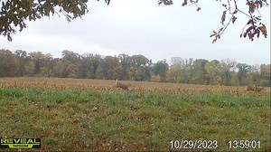 88 reactions | Best time of the year for deer hunters! Wait for the third and volume up! | Run 'n Arrow | Facebook