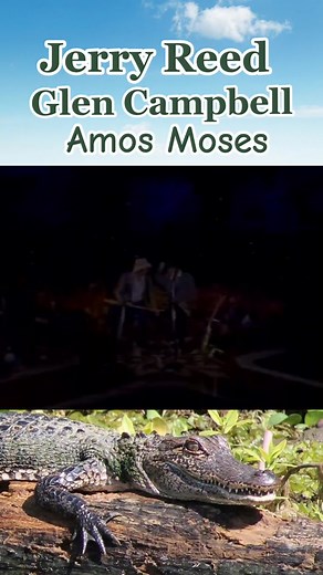 Classic Country Performance of 'Amos Moses' on the Glen Campbell Show