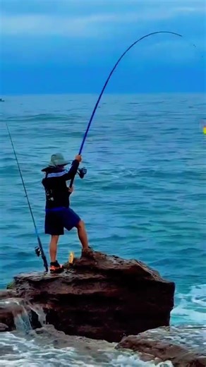 Fish on bonito, Australian bonito season off the rock #fishing #australia #travel