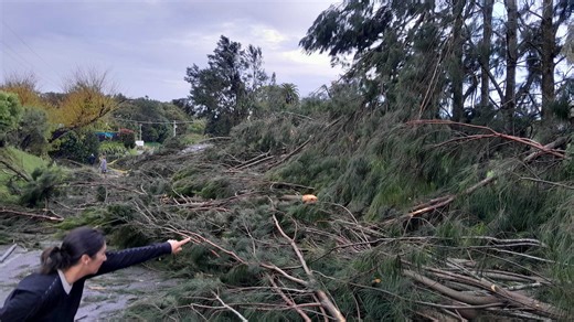 380241-reports-of-tornado-tearing-through-tauranga.html