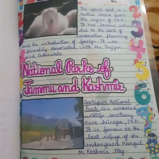 Project on science for class 8th 🧿