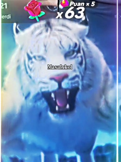 Özdemirkol Introductions and Highlights