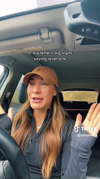 Understanding Level Systems in Commission Salons