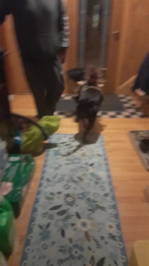 gumball🥈 (@gumballandjj)’s videos with original sound - gumball🥈