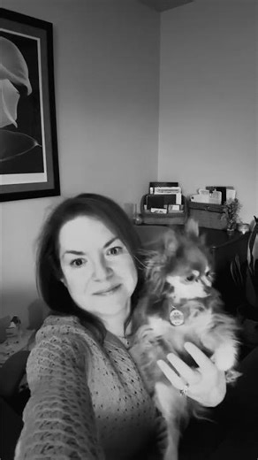 Who’s That Dog? 🐾 Meet Mina, the CPA - The CPA Chihuahua Giving Practical Tax Advice #taxtails