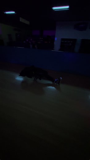 filler post while i’m learning all soul slide variations and Vestra #fyp #texasrinkrats #inlineskating #johnny #acidslide 📸-@dreadhead._lilz