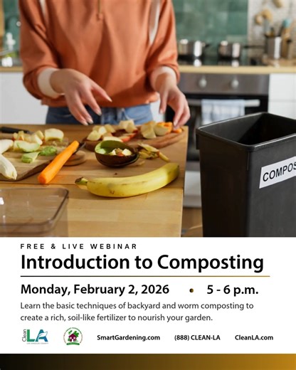 Join us on Monday, February 2, 2026, for a free, live webinar on how to turn yard clippings and kitchen scraps into nutrient-rich compost for your lawn and garden. Webinars are approximately 45 minutes followed by a 15-minute period to answer questions and take orders for compost bins. To register, click the "Sign Up" button in this post or visit: zoom.us/webinar/register/WN_WynT5INmSceLFAd1s6ED5A | Los Angeles County Smart Gardening Program