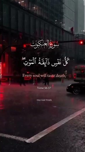 Powerful Quran Verse | Ya Ibadial Ladhina Aamanu | Islamic Short #islamicreminder