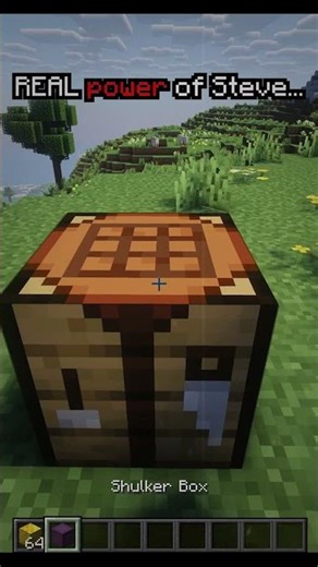 Steve true power... 💀 #minecraft #viral #shorts