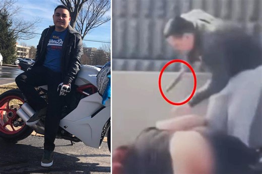 State Department IT worker stabbed complete strangers and his own dog in deadly Virginia road rage rampage