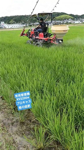 常用管理機 KV2200w ブロキャス稲の追肥