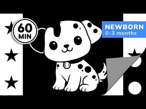 High Contrast Baby Sensory | 60 Minutes of Black & White Page Turning