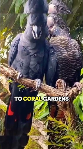 Why Seychelles Is One of the Most Beautiful Places on Earth