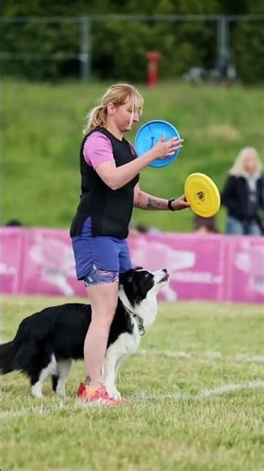 Dogs are such talented creatures #frisbee #dog #pets