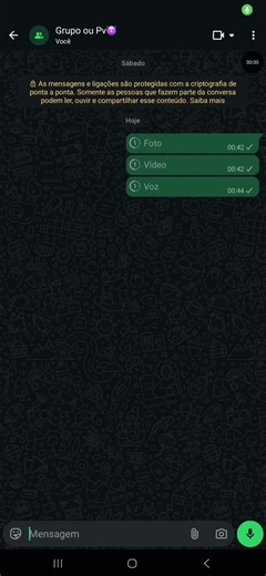 Bot WhatsApp: Como Fazer o Download Fácil