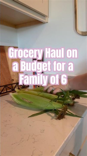 Realistic grocery haul for a family of 6 on a budget