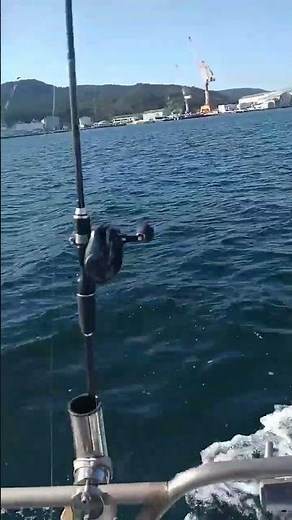 快晴の瀬戸内海・海老で鯛を釣る！いざ出陣（2025年11月16日）#ショート動画＃瀬戸内海釣り＃鯛釣り＃海釣り