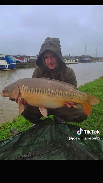 Bude canal!! winter carping mid Jan 🎣🐟🎣🐟🎣🐟 zip linear #perfectmirrors #canalcarping #ziplin #madbaitscreamseed #boomsnloopskorda