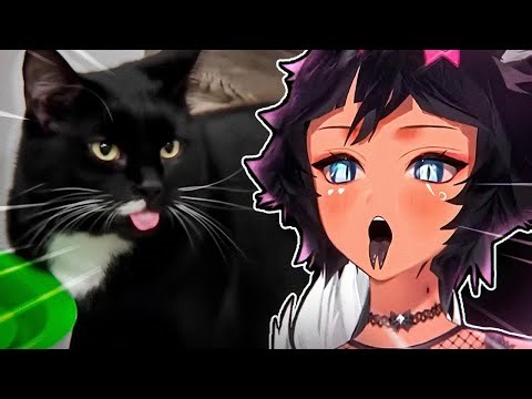 Tricky Reacts to the CUTEST and FUNNIEST Memes!