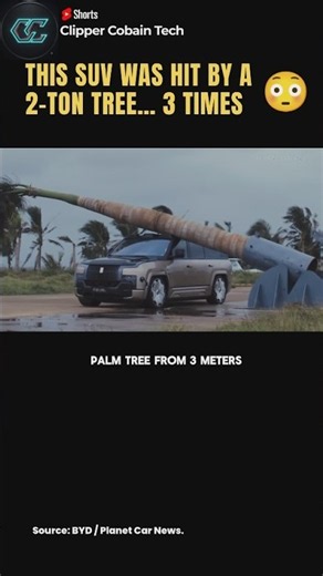THIS BYD SURVIVED A 2-TON TREE DROP 💀 #Tech #cartok #techtech