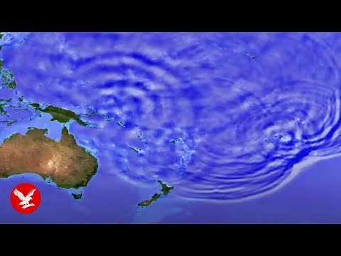 Animation reveals how tsunami, triggered by 8.8-magnitude earthquake, surged across Pacific Ocean
