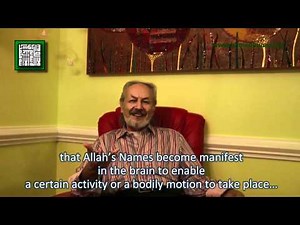 Brain Mechanics, The Quantum Potential And The Quran by Ahmed Hulusi