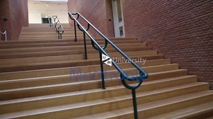 1.6K views · 26 reactions | This year Maastricht University in cooperation with Medtronic organised the first-ever Leadership Forum Maastricht. Taking place under the realm of the UM's Diversity & Inclusivity programme, the forum was dedicated to the leadership of women. More information about diversity and inclusivity at UM: https://www.maastrichtuniversity.nl/about-um/diversity-inclusivity?utm_source=facebook | Maastricht University | Facebook