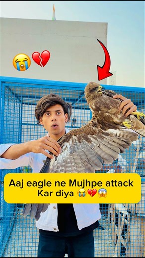 Aaj eagle ne mujhpe attack Kar diya 😭💔😱 #minivlog #viral #shorts