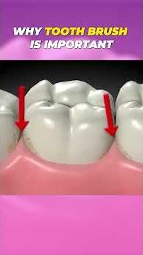 Why Brushing Your Teeth Matters | 3D Animation in 60 Seconds #dentist #medicalshorts #3danimation