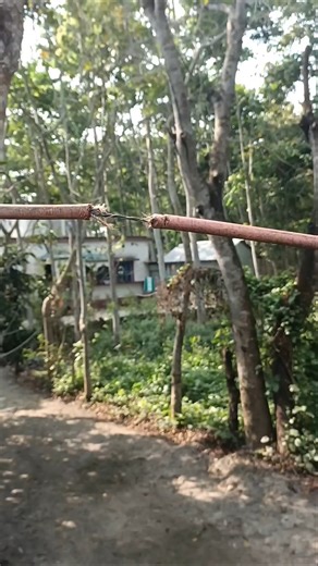 Broken Cable? Watch this magic repair technique #cablerepair #splicing #cablejoint #fiberrepair