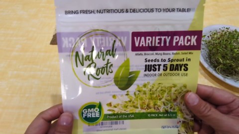 Variety Pack Sprouting Seeds Broccoli, Alfalfa, Radish, Mung beans & Salad Mix for Sprouts and Microgreens. Non-GMO. Pack of 10 premeasured seeds for quart size jars or trays. Includes 2 packs of each