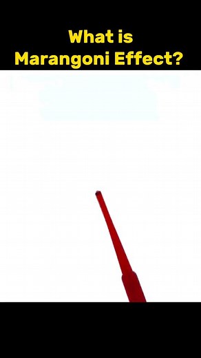 UKnoWhat? on Instagram: "✅️ Follow us ✅️ Explain Marangoni Effect! The Marangoni effect, a phenomenon driven by surface tension gradients, causes fluid to move from areas of lower to higher tension. Examples include the "tears" that form on the sides of a wine glass, coffee rings, and the spreading of water droplets on a hot road. This effect can have both beneficial and detrimental consequences in various fields, such as heat transfer and materials science. Credits: All credits to the original 