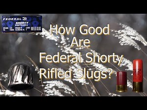 How Good are Federal Shorty Rifled Slugs?
